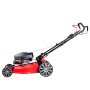 Газонокосилка бензиновая самоходная с двигателем FUBAG Honda FPL 56 SMH в Махачкале фото